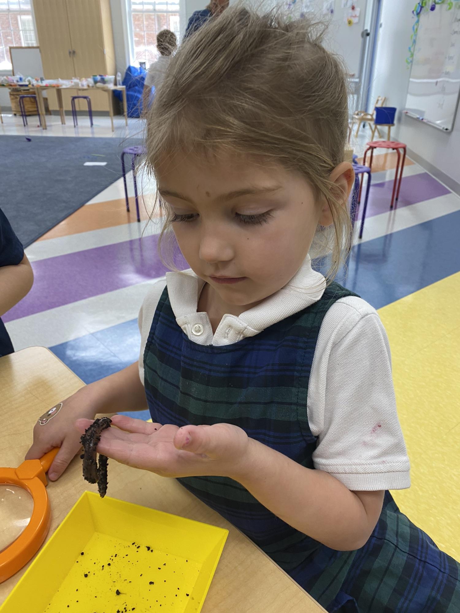 PreK science explorers